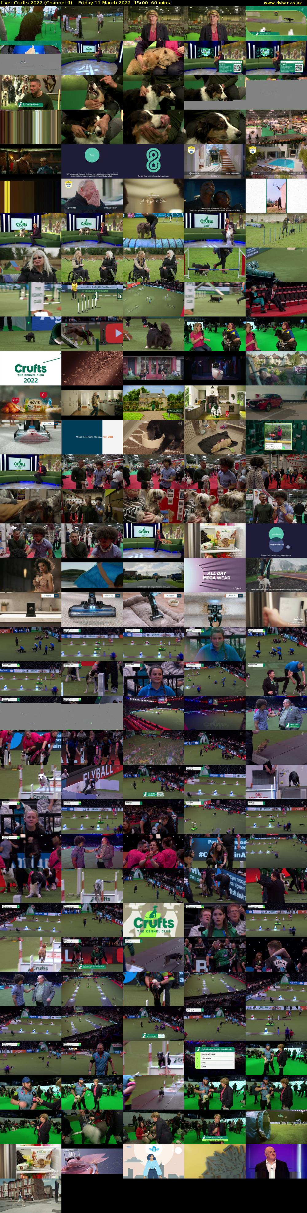 Live: Crufts 2022 (Channel 4) Friday 11 March 2022 15:00 - 16:00