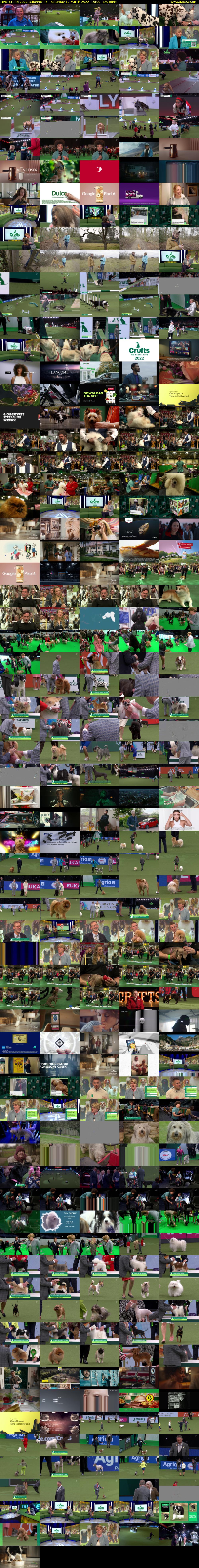 Live: Crufts 2022 (Channel 4) Saturday 12 March 2022 19:00 - 21:00