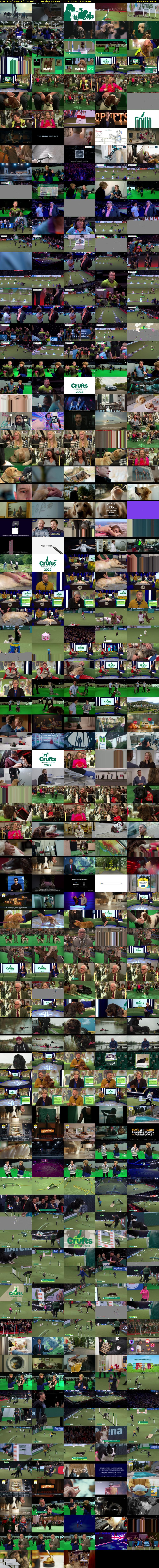 Live: Crufts 2022 (Channel 4) Sunday 13 March 2022 15:00 - 17:30
