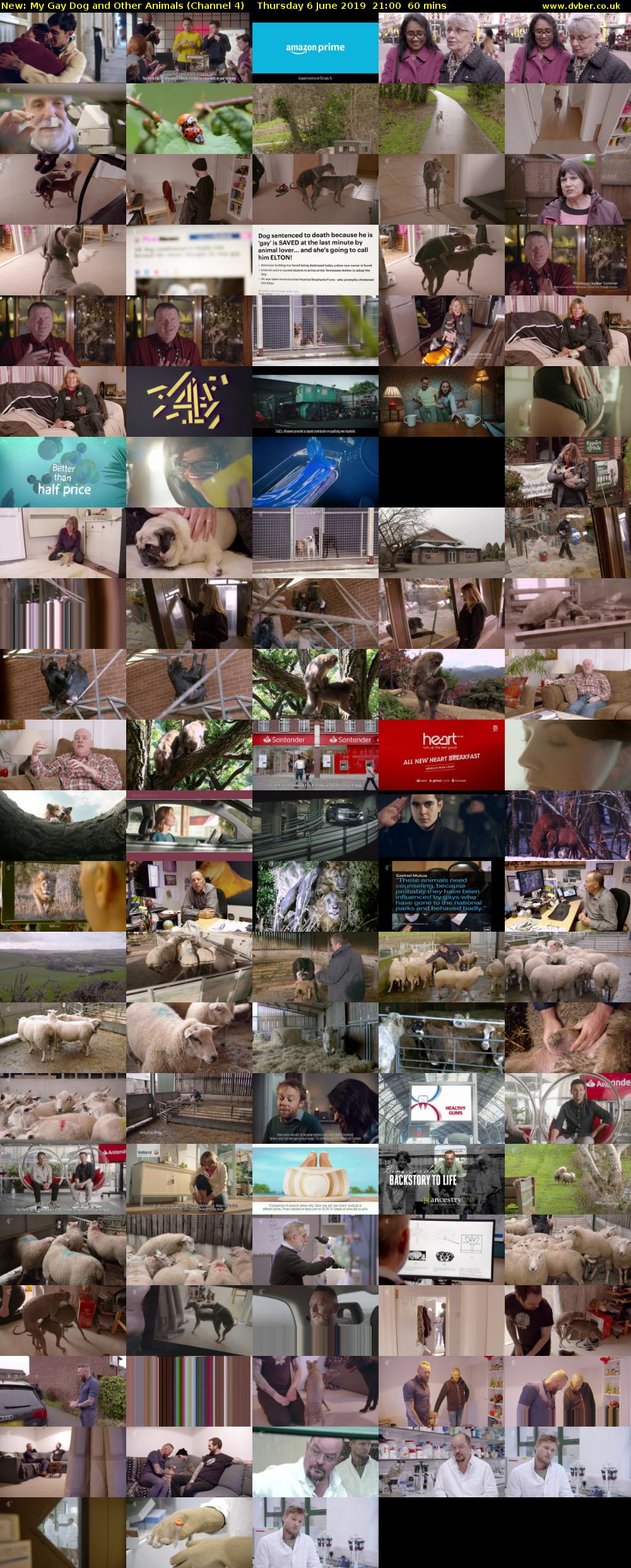 My Gay Dog and Other Animals (Channel 4) Thursday 6 June 2019 21:00 - 22:00