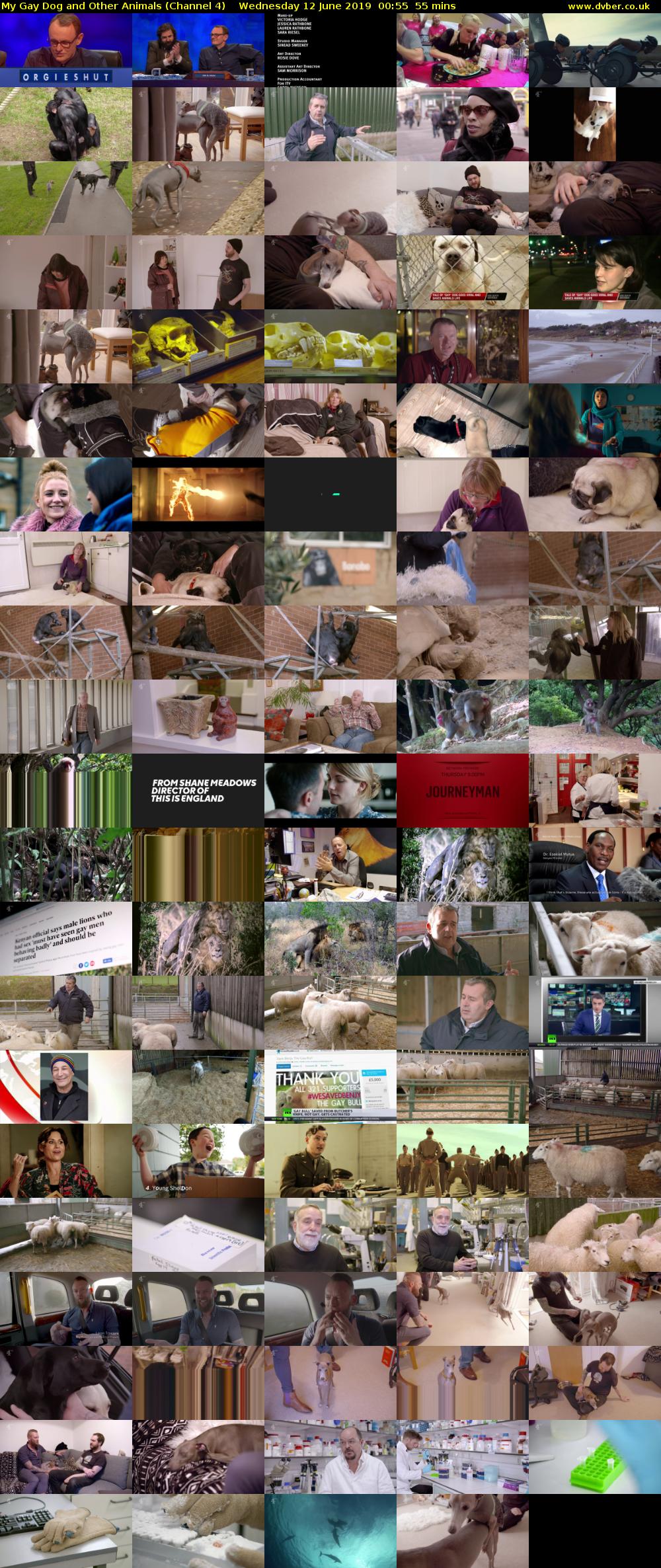 My Gay Dog and Other Animals (Channel 4) Wednesday 12 June 2019 00:55 - 01:50