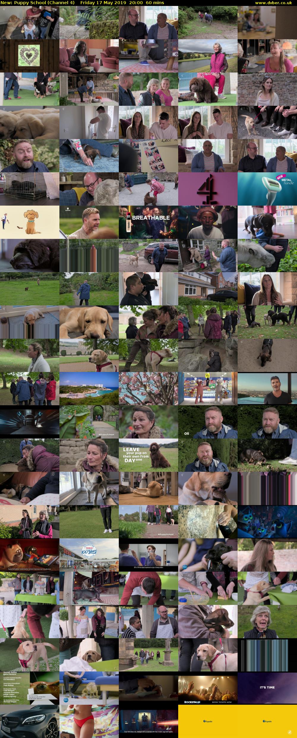 Puppy School (Channel 4) Friday 17 May 2019 20:00 - 21:00