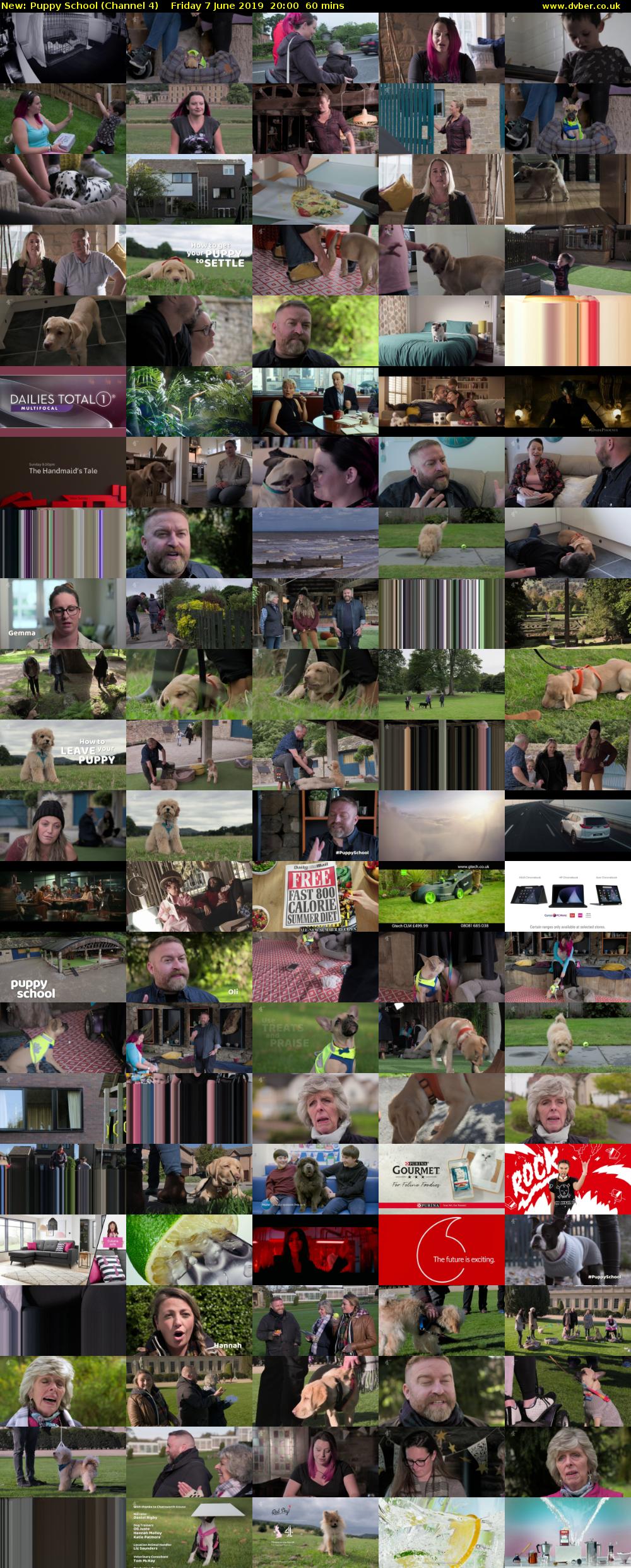 Puppy School (Channel 4) Friday 7 June 2019 20:00 - 21:00