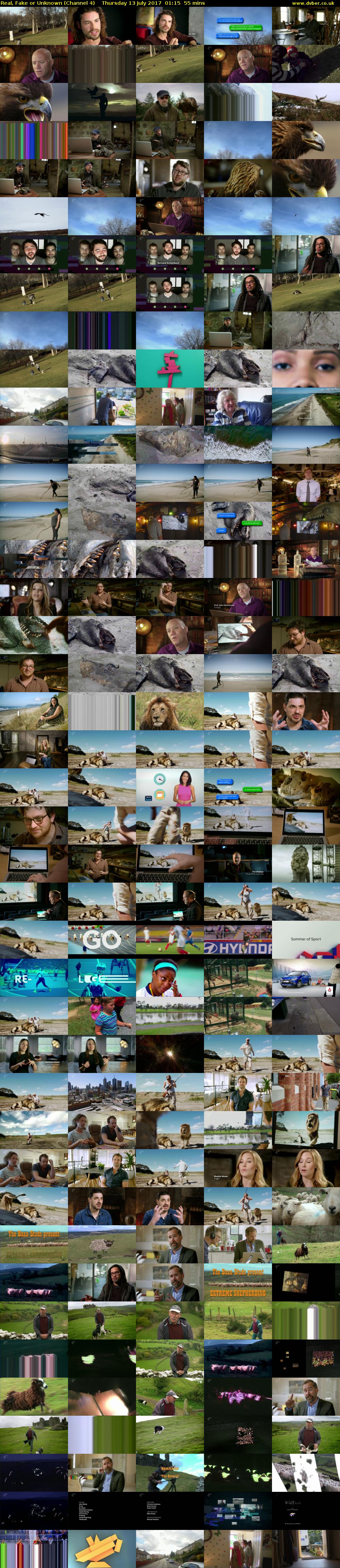Real, Fake or Unknown (Channel 4) Thursday 13 July 2017 01:15 - 02:10