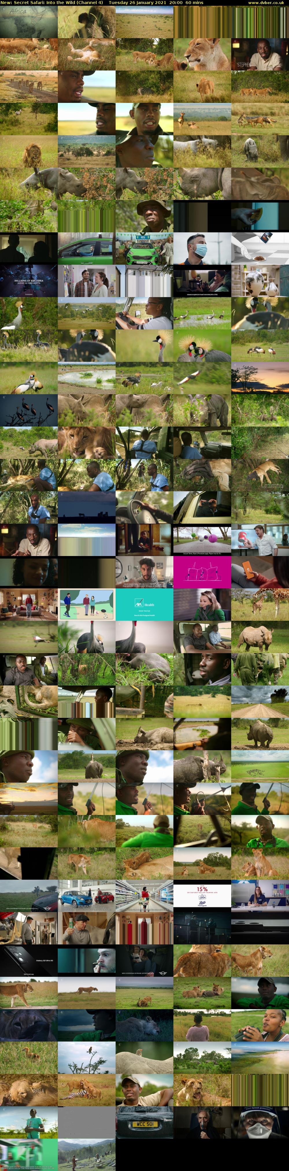 Secret Safari: Into the Wild (Channel 4) Tuesday 26 January 2021 20:00 - 21:00