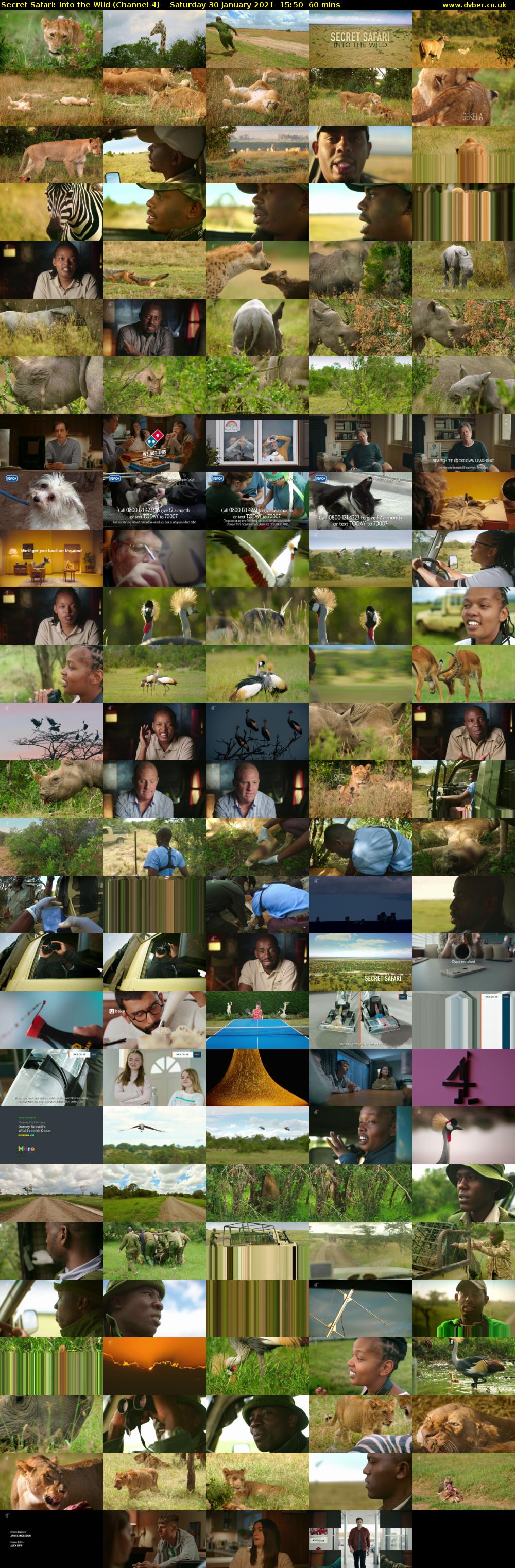 Secret Safari: Into the Wild (Channel 4) Saturday 30 January 2021 15:50 - 16:50