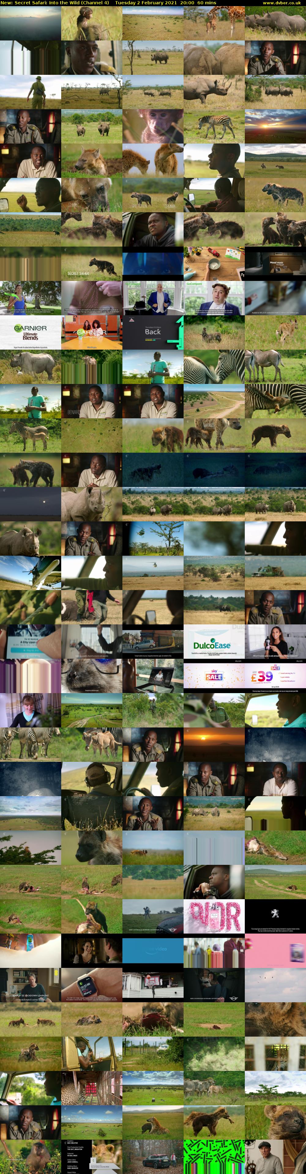 Secret Safari: Into the Wild (Channel 4) Tuesday 2 February 2021 20:00 - 21:00