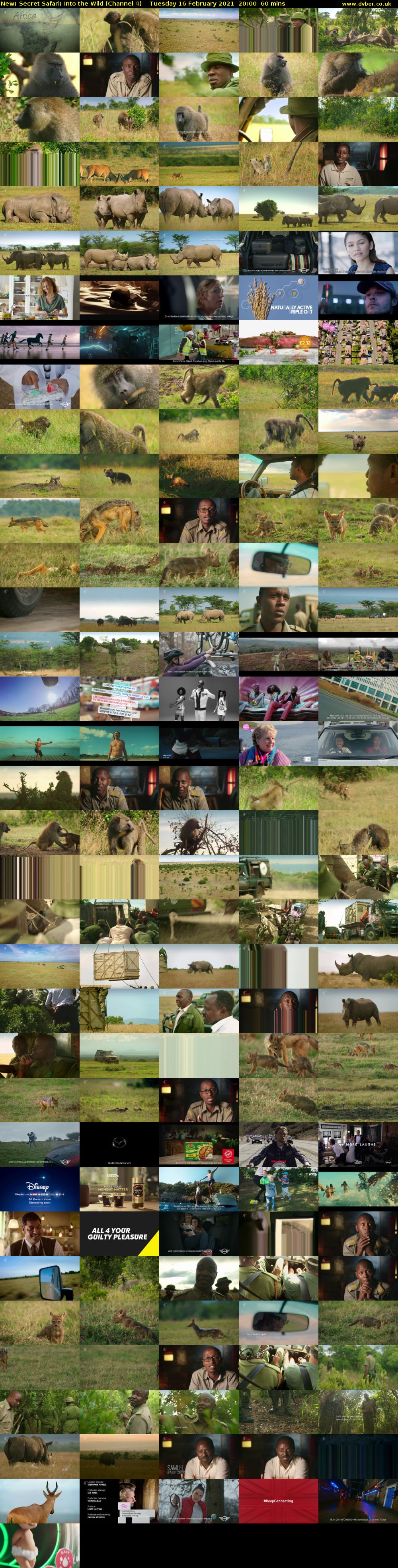 Secret Safari: Into the Wild (Channel 4) Tuesday 16 February 2021 20:00 - 21:00
