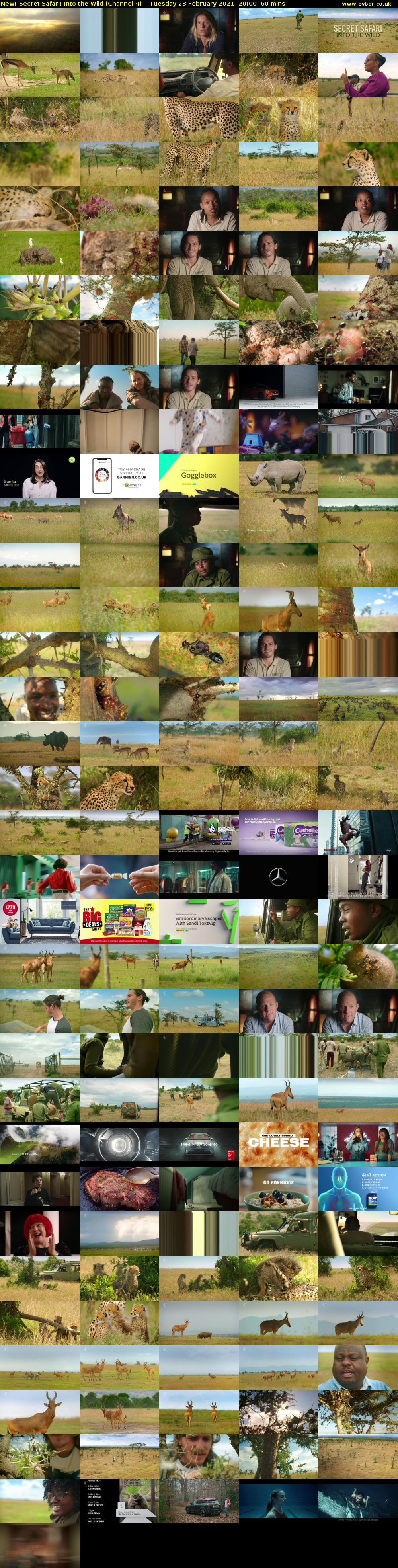 Secret Safari: Into the Wild (Channel 4) Tuesday 23 February 2021 20:00 - 21:00