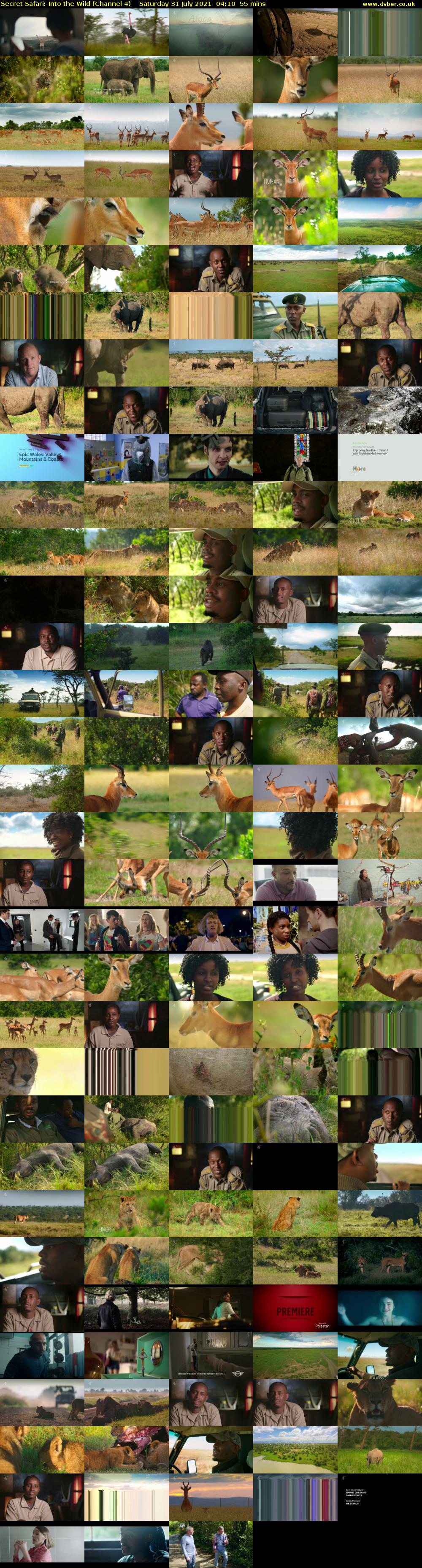 Secret Safari: Into the Wild (Channel 4) Saturday 31 July 2021 04:10 - 05:05