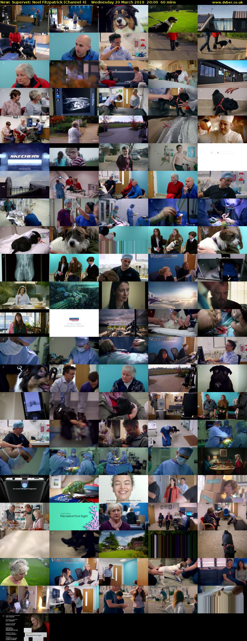 Supervet: Noel Fitzpatrick (Channel 4) Wednesday 20 March 2019 20:00 - 21:00