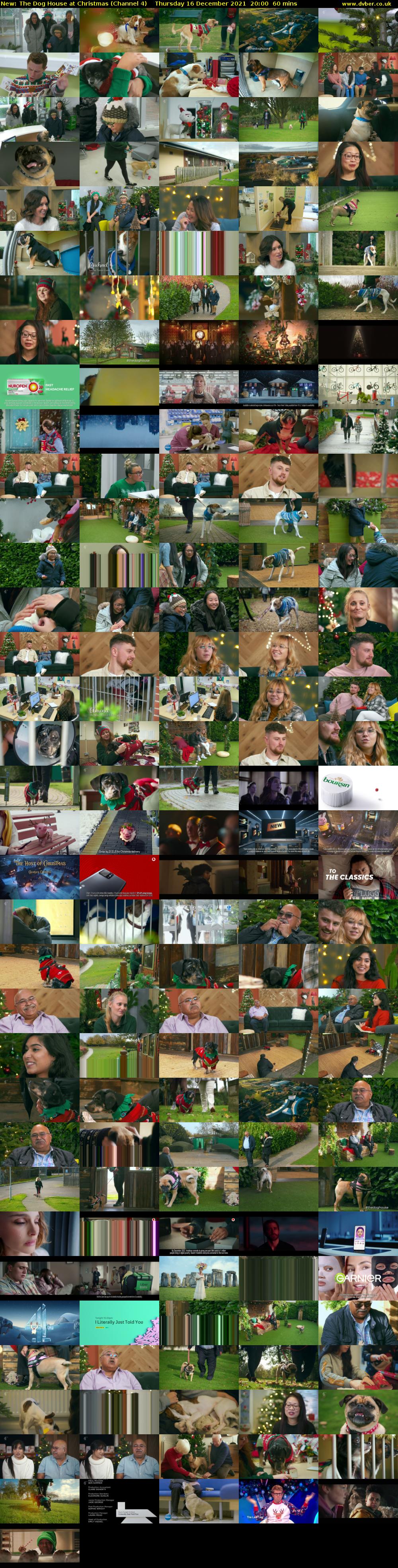 The Dog House at Christmas (Channel 4) Thursday 16 December 2021 20:00 - 21:00
