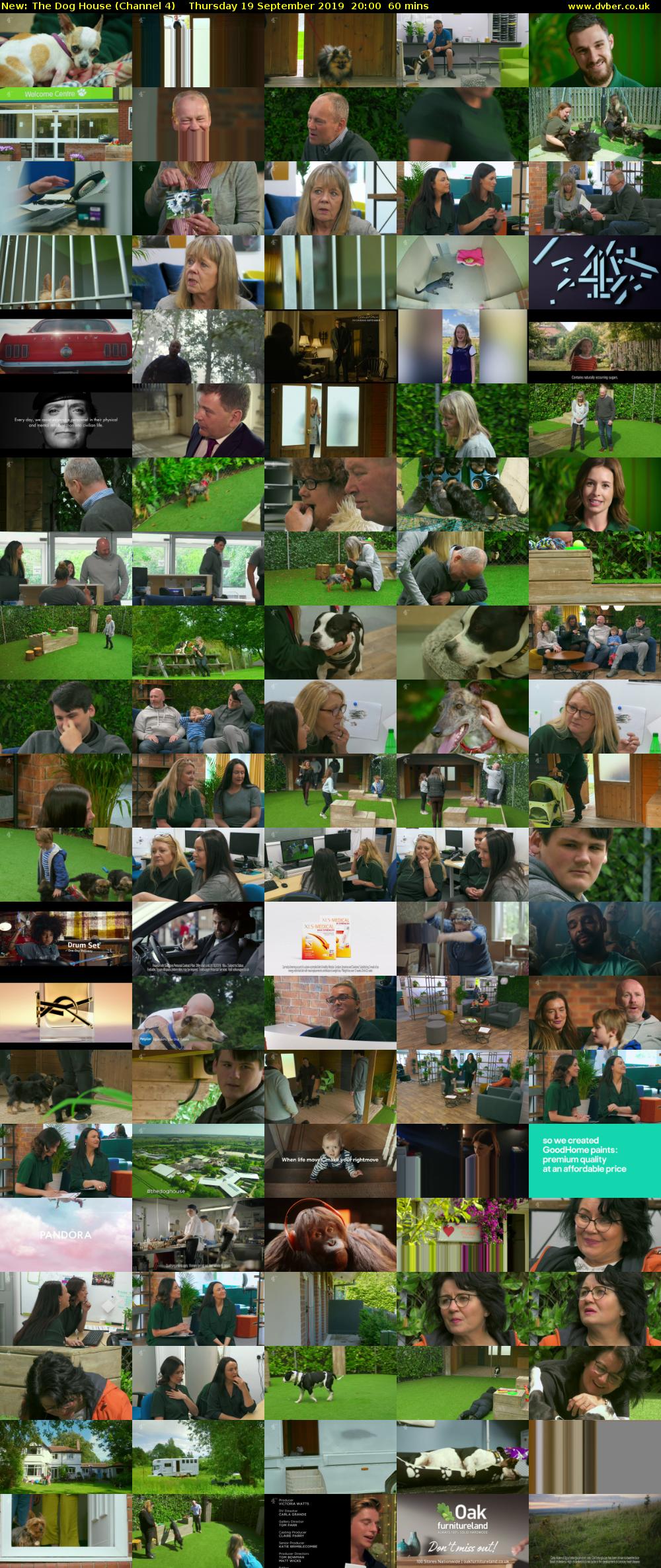 The Dog House (Channel 4) Thursday 19 September 2019 20:00 - 21:00