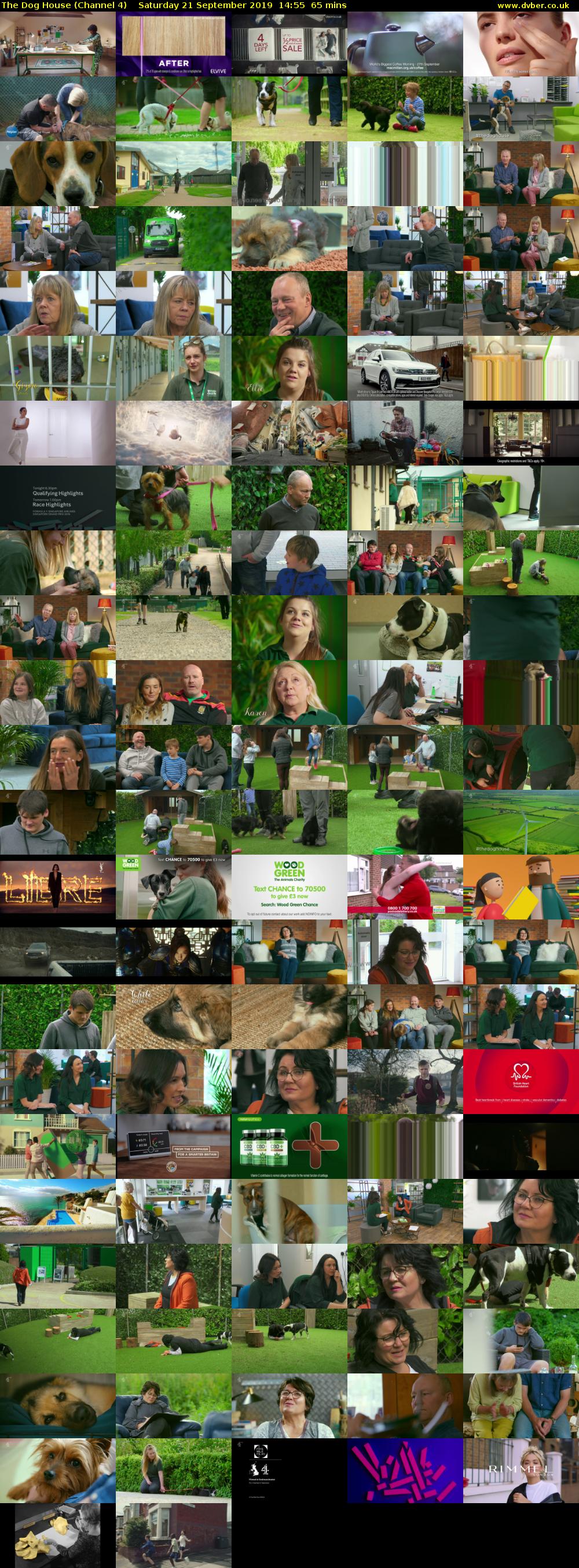 The Dog House (Channel 4) Saturday 21 September 2019 14:55 - 16:00