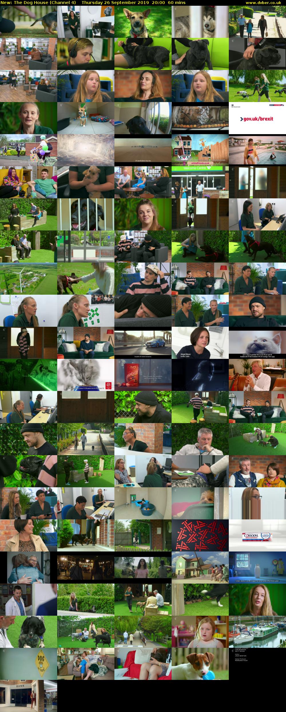 The Dog House (Channel 4) Thursday 26 September 2019 20:00 - 21:00
