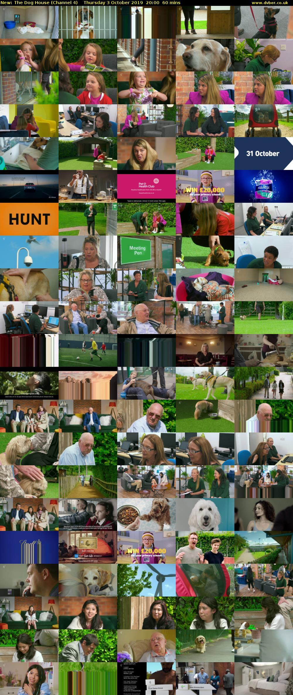 The Dog House (Channel 4) Thursday 3 October 2019 20:00 - 21:00