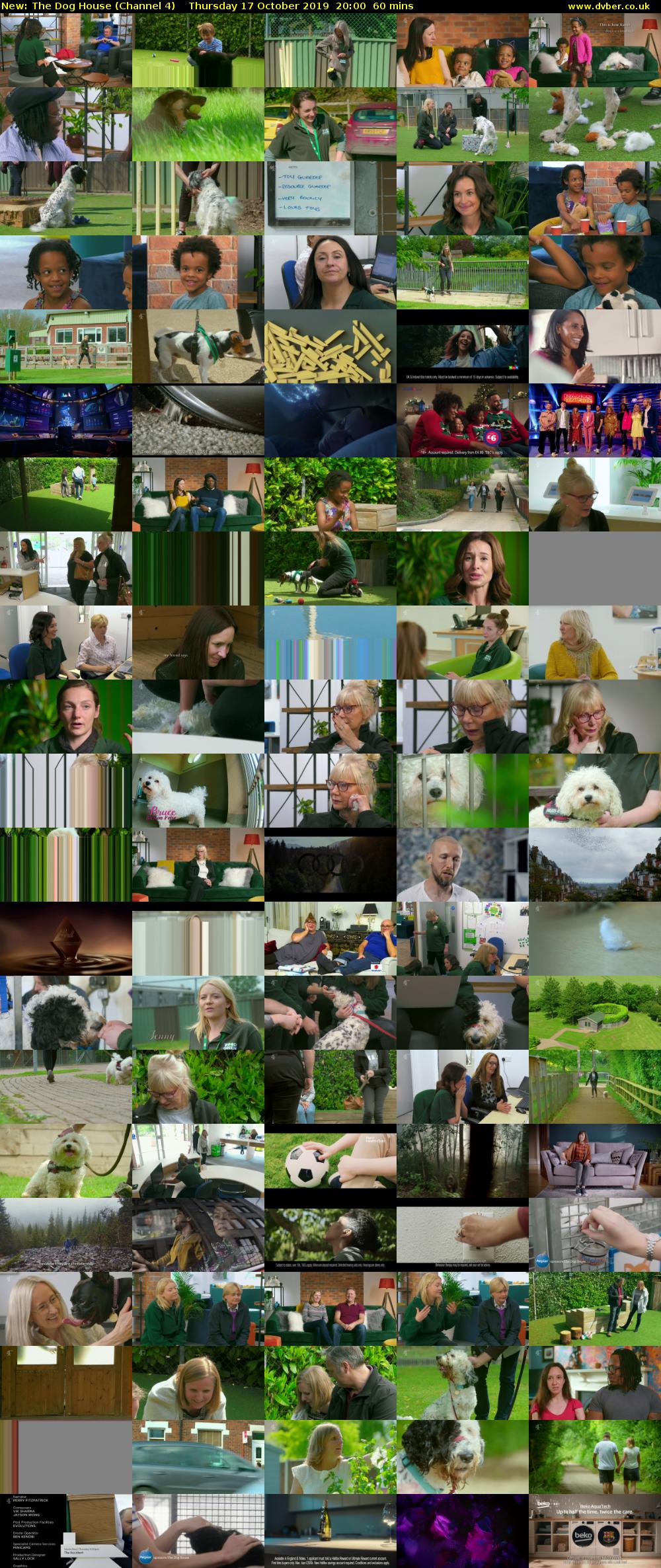 The Dog House (Channel 4) Thursday 17 October 2019 20:00 - 21:00
