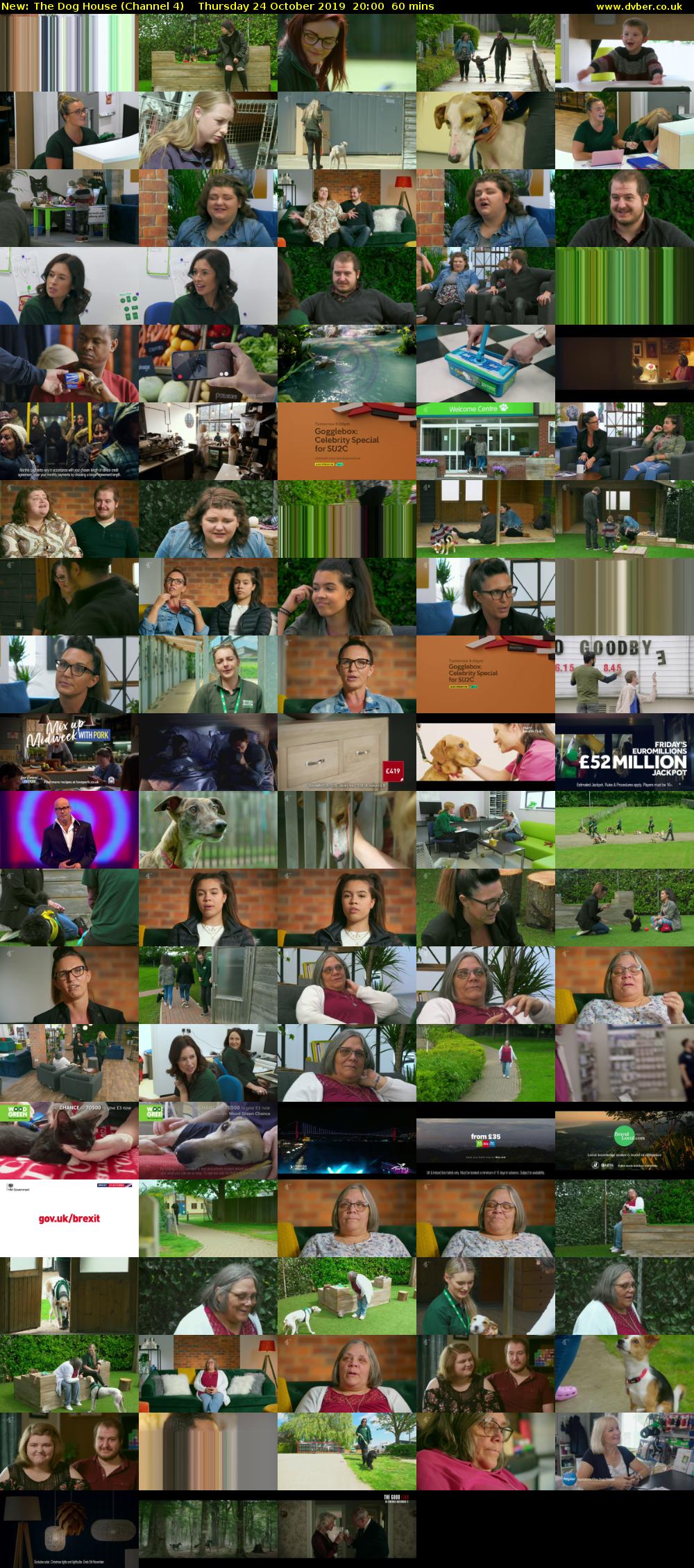 The Dog House (Channel 4) Thursday 24 October 2019 20:00 - 21:00