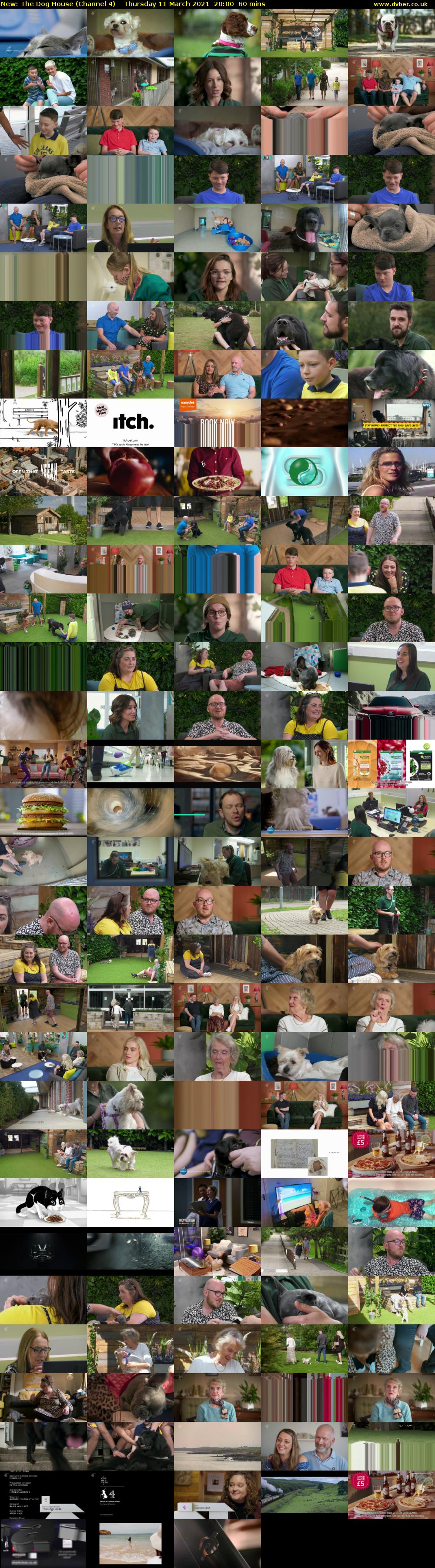 The Dog House (Channel 4) Thursday 11 March 2021 20:00 - 21:00