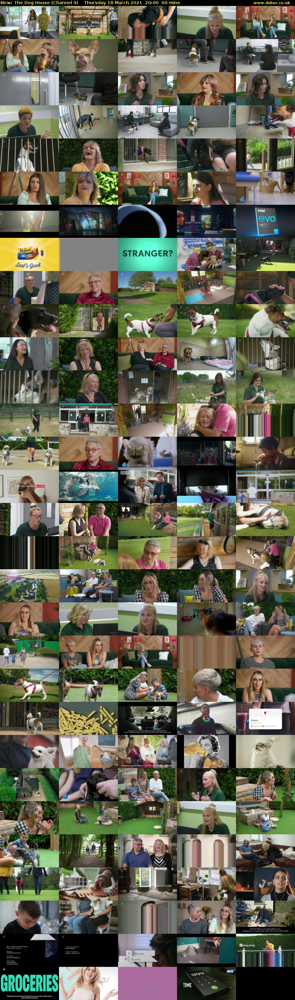 The Dog House (Channel 4) Thursday 18 March 2021 20:00 - 21:00