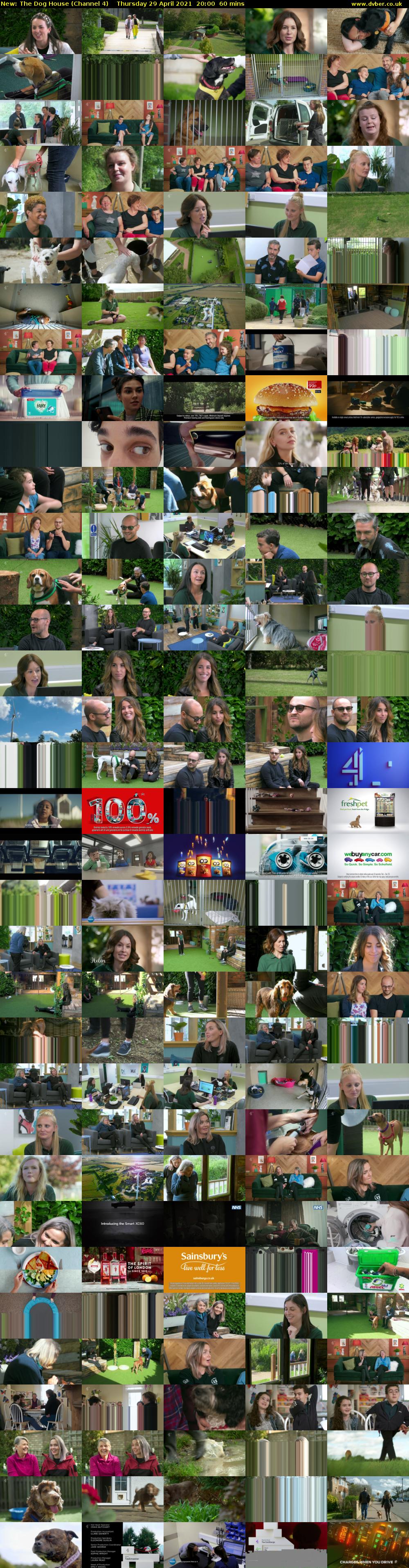 The Dog House (Channel 4) Thursday 29 April 2021 20:00 - 21:00
