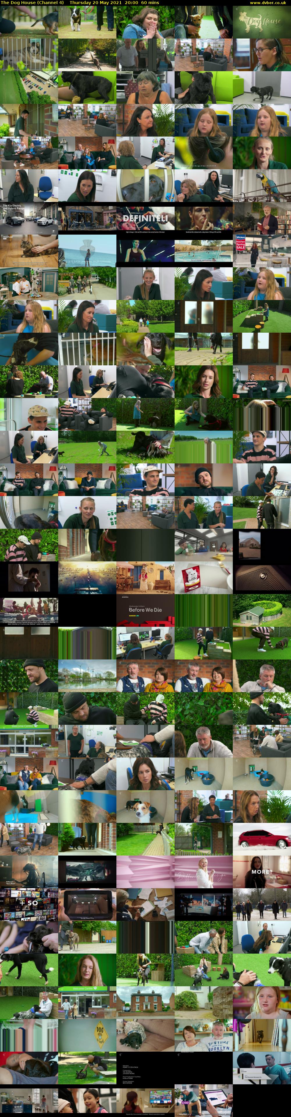The Dog House (Channel 4) Thursday 20 May 2021 20:00 - 21:00
