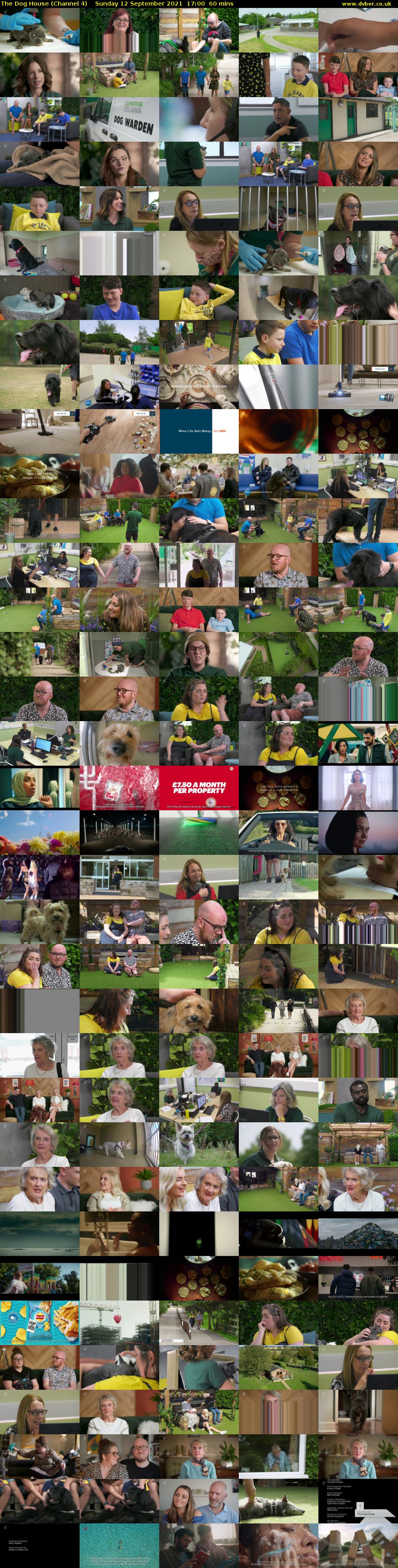 The Dog House (Channel 4) Sunday 12 September 2021 17:00 - 18:00