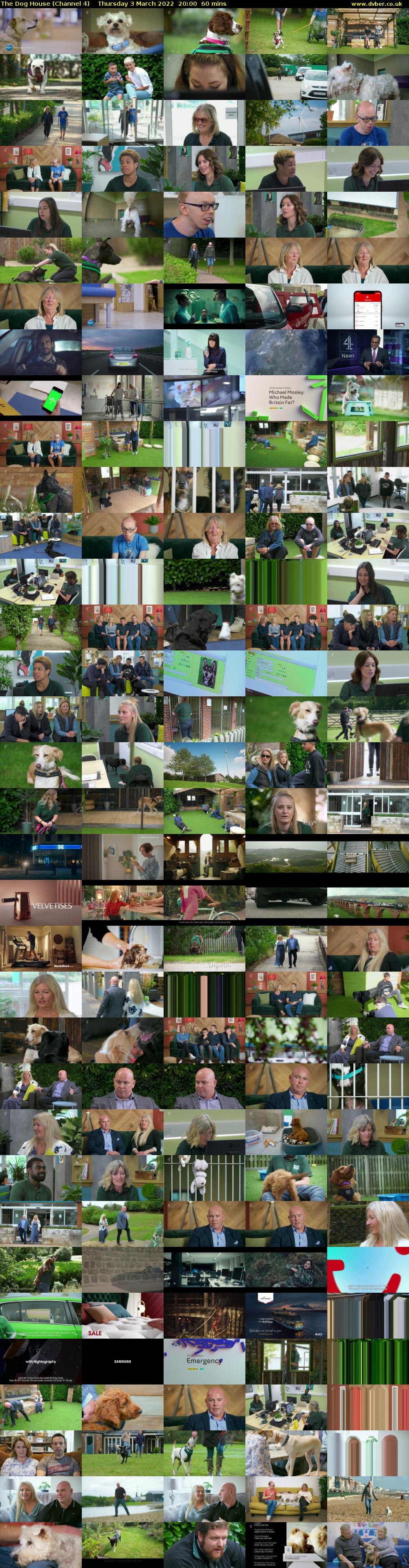 The Dog House (Channel 4) Thursday 3 March 2022 20:00 - 21:00