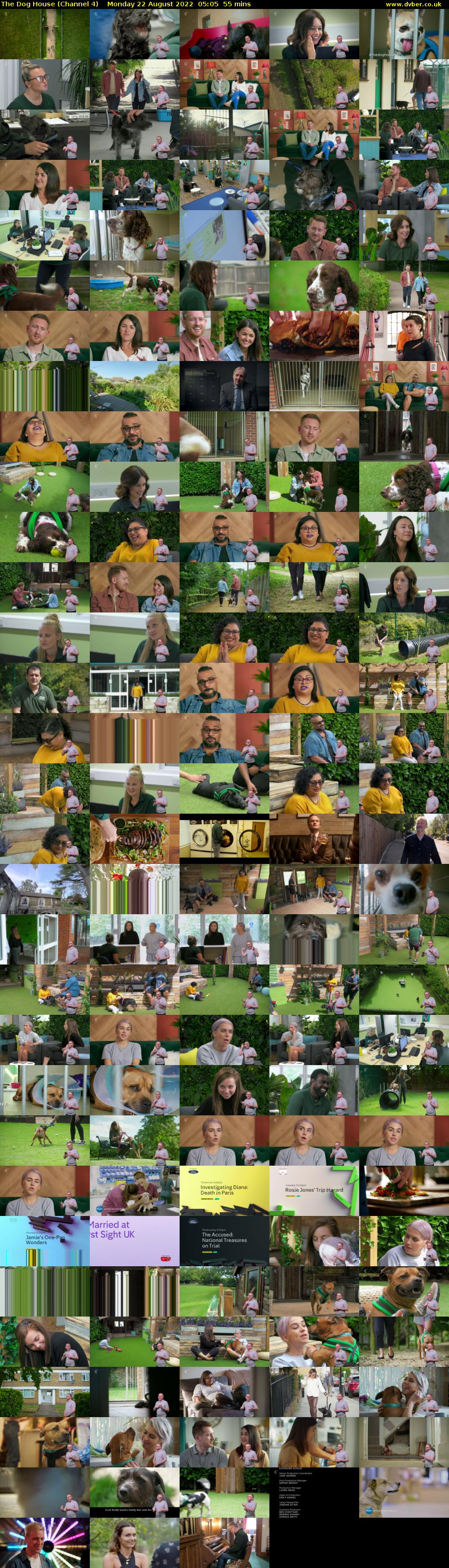 The Dog House (Channel 4) Monday 22 August 2022 05:05 - 06:00