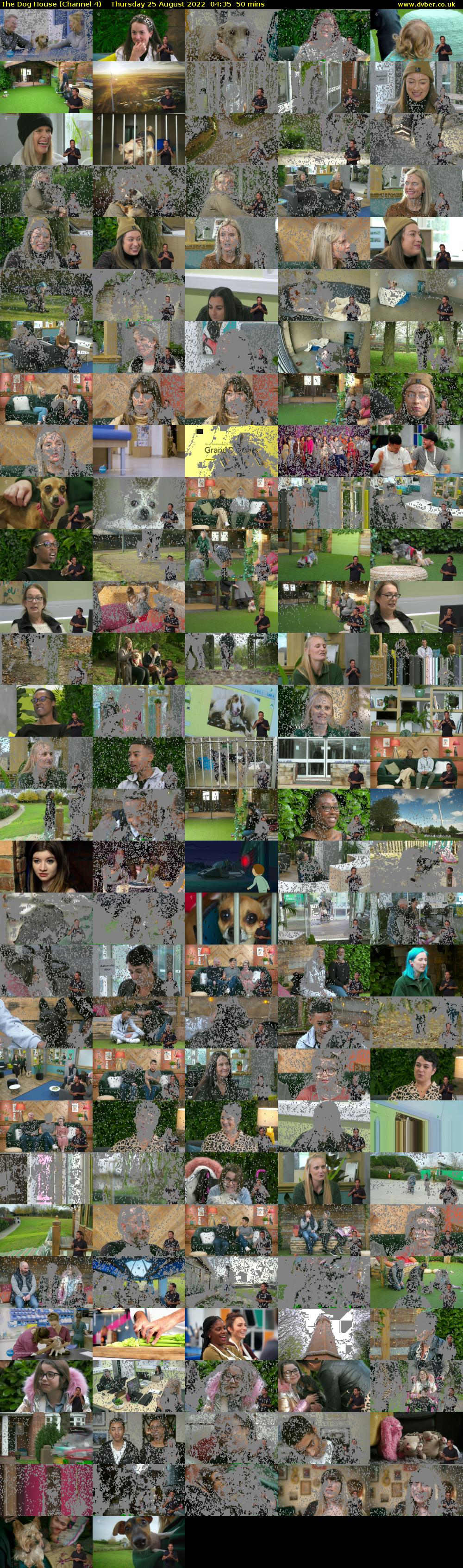 The Dog House (Channel 4) Thursday 25 August 2022 04:35 - 05:25