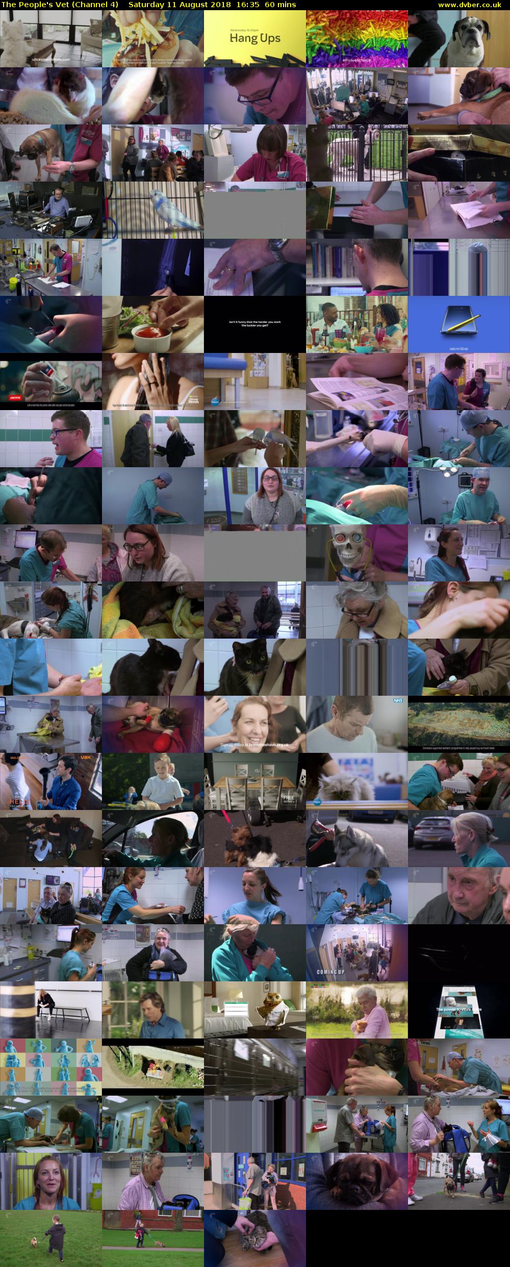 The People's Vet (Channel 4) Saturday 11 August 2018 16:35 - 17:35