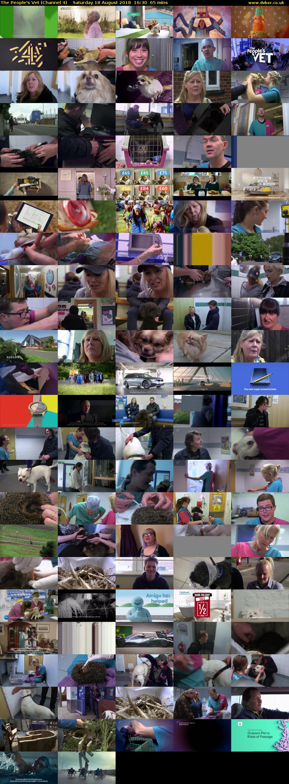 The People's Vet (Channel 4) Saturday 18 August 2018 16:30 - 17:35