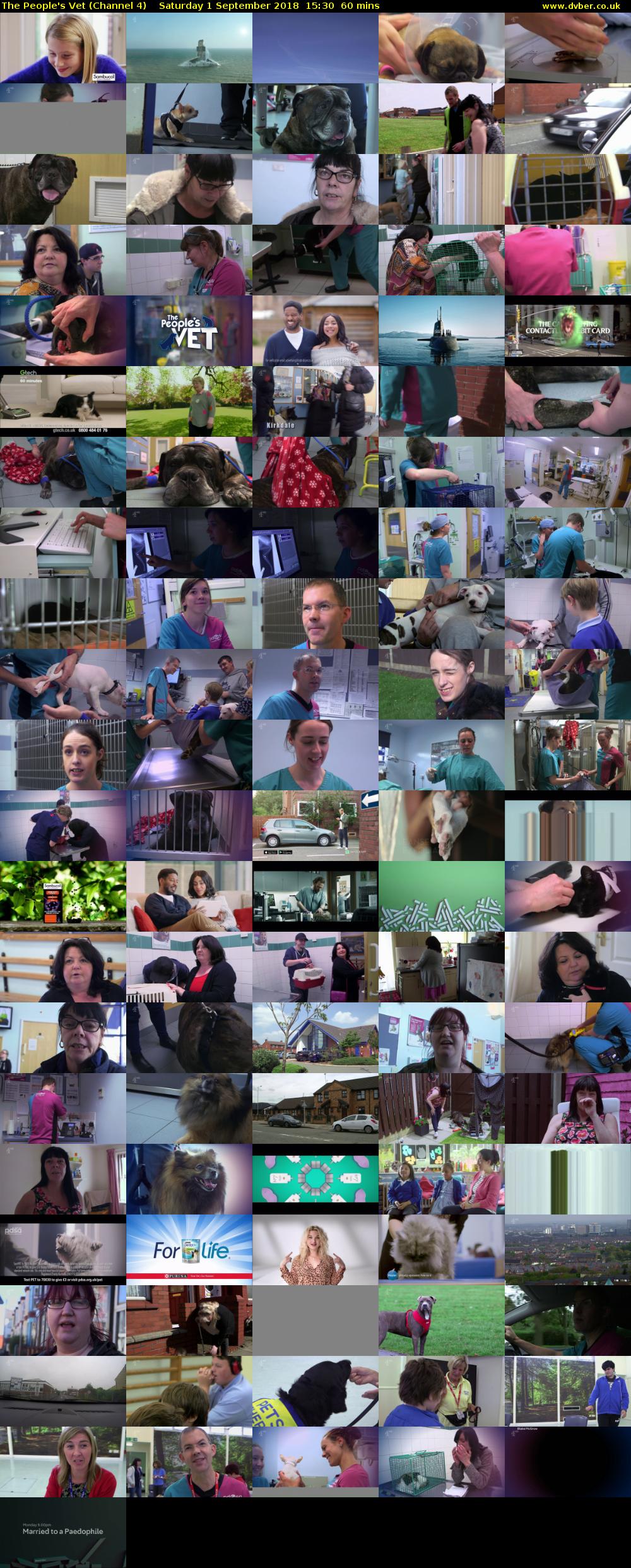 The People's Vet (Channel 4) Saturday 1 September 2018 15:30 - 16:30