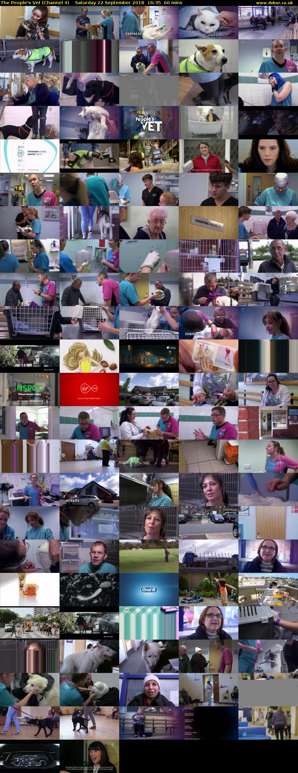 The People's Vet (Channel 4) Saturday 22 September 2018 16:35 - 17:35