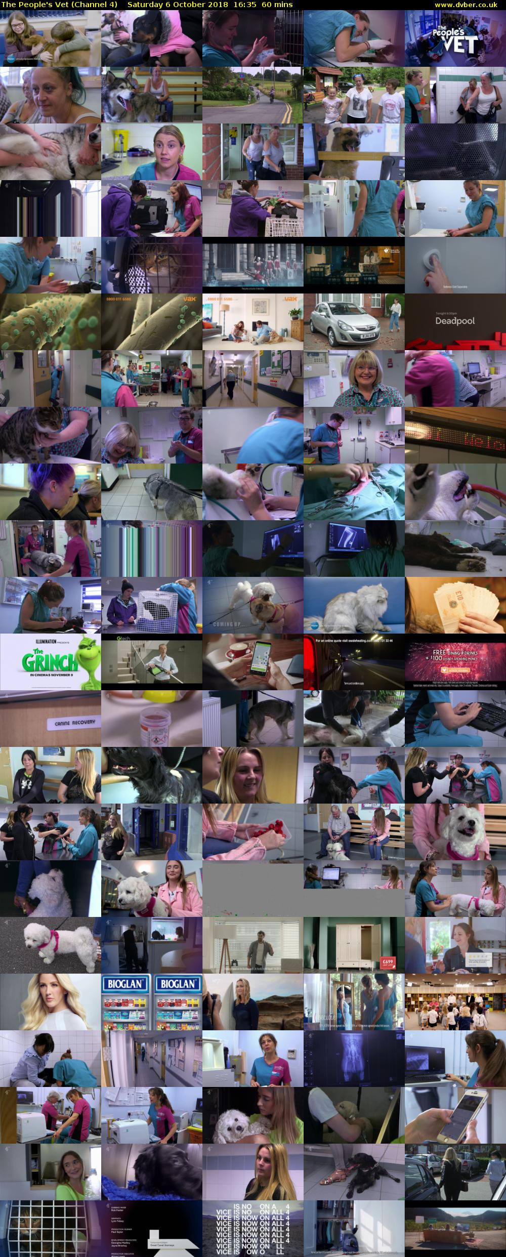The People's Vet (Channel 4) Saturday 6 October 2018 16:35 - 17:35