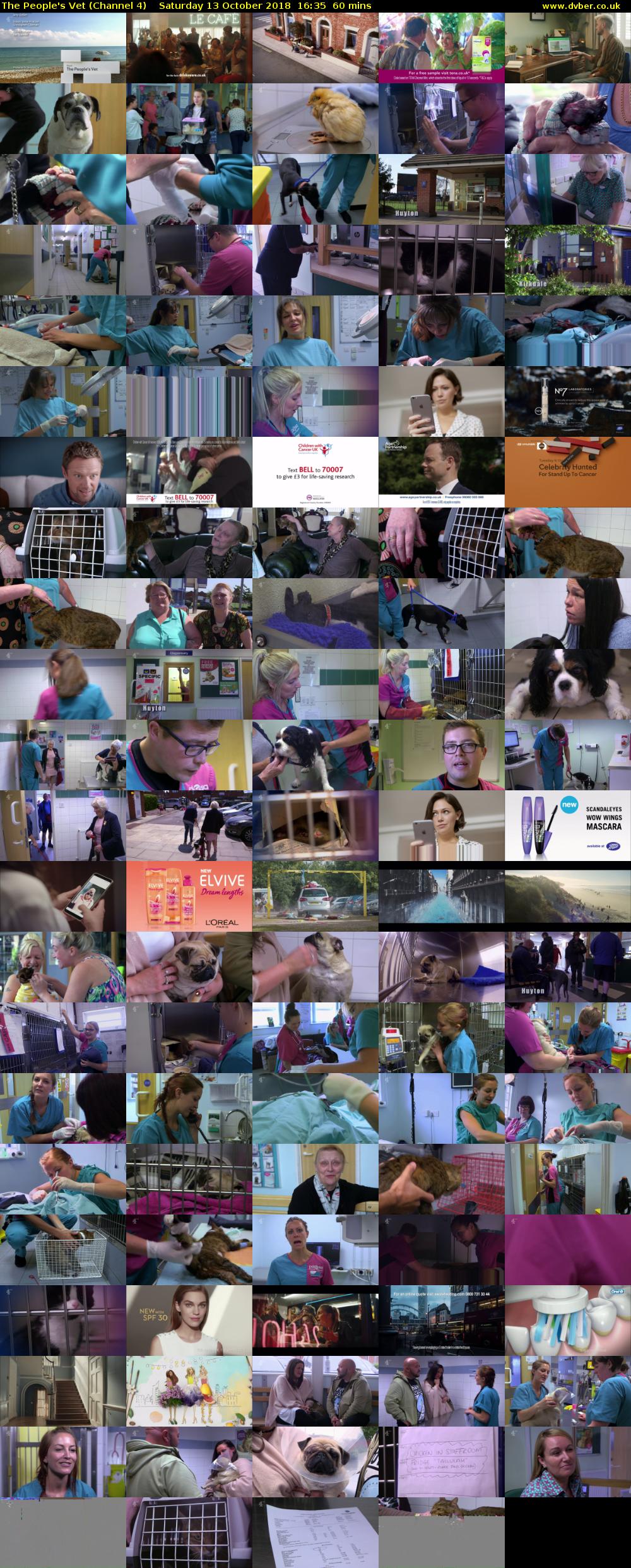 The People's Vet (Channel 4) Saturday 13 October 2018 16:35 - 17:35