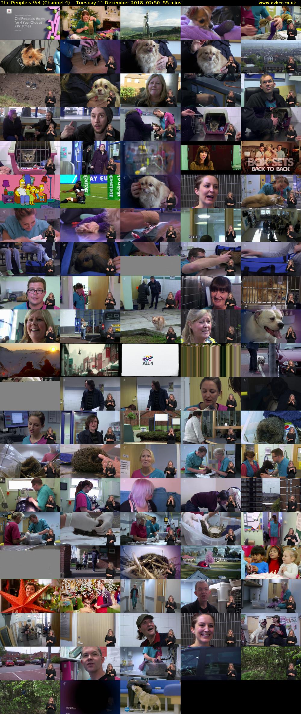 The People's Vet (Channel 4) Tuesday 11 December 2018 02:50 - 03:45