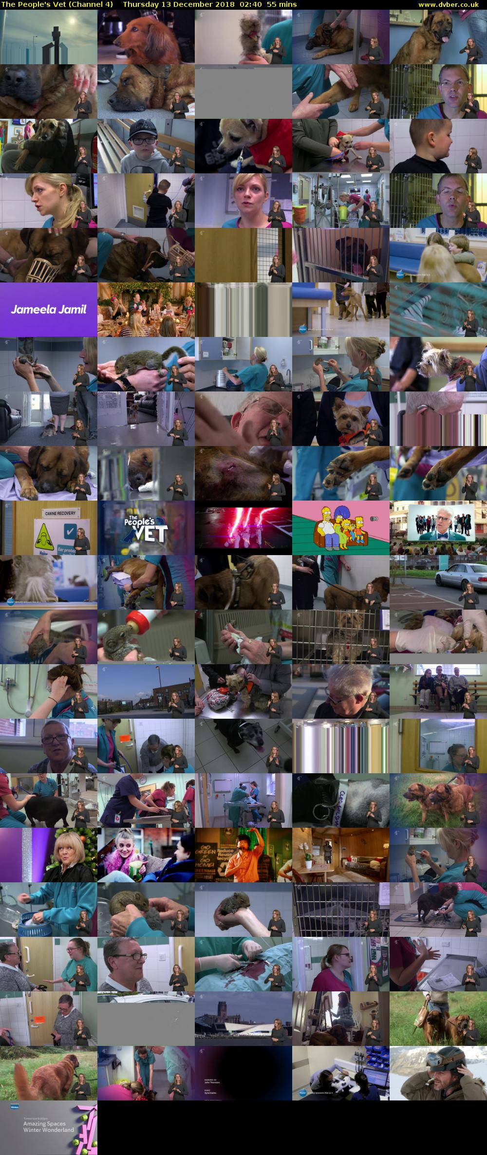 The People's Vet (Channel 4) Thursday 13 December 2018 02:40 - 03:35