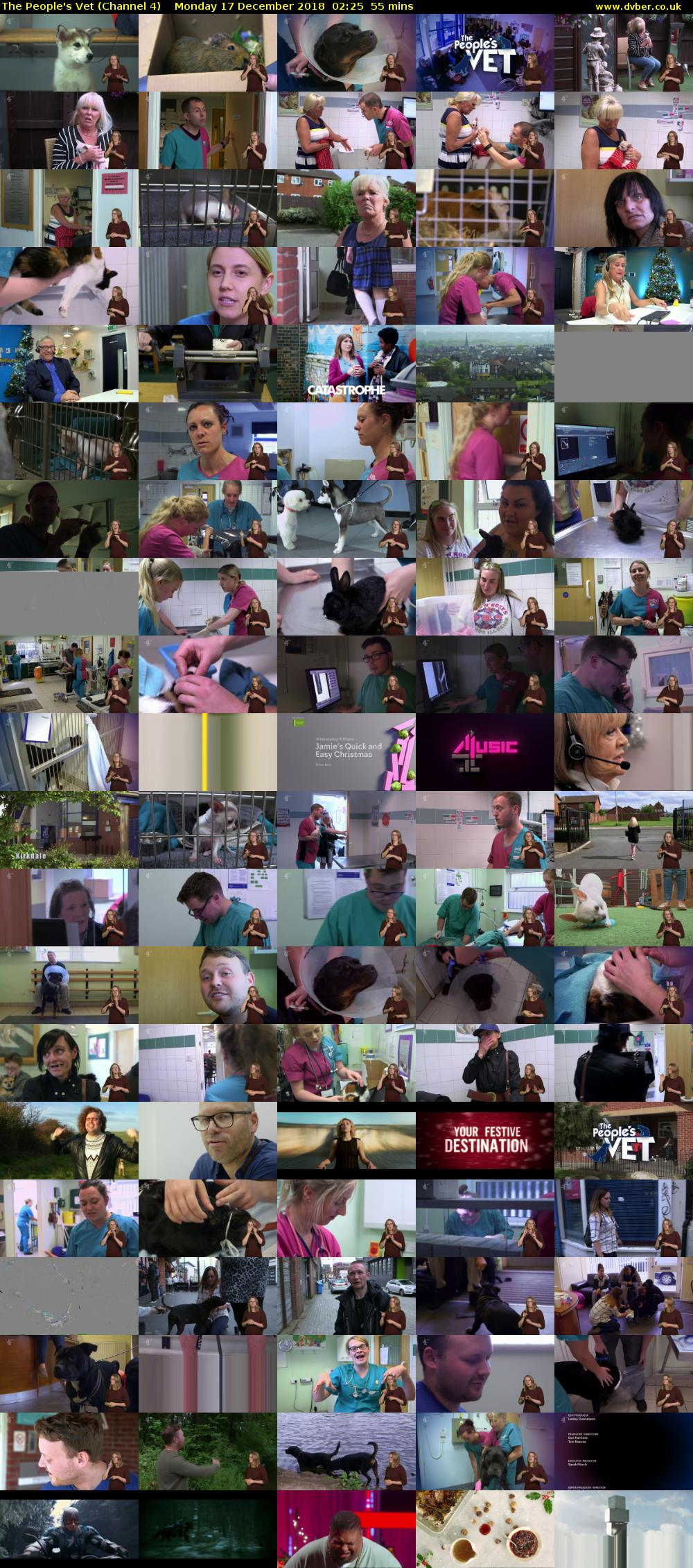 The People's Vet (Channel 4) Monday 17 December 2018 02:25 - 03:20