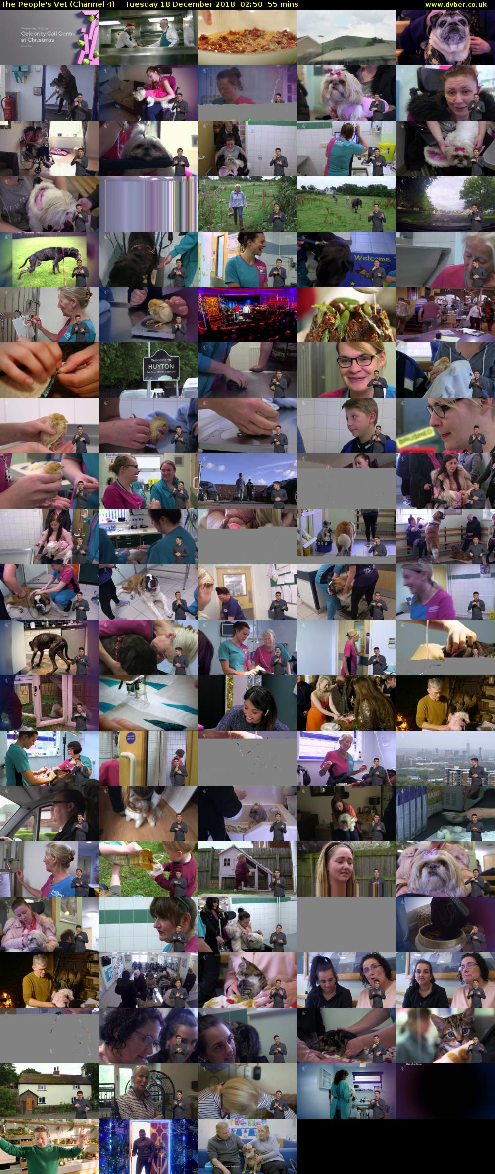 The People's Vet (Channel 4) Tuesday 18 December 2018 02:50 - 03:45