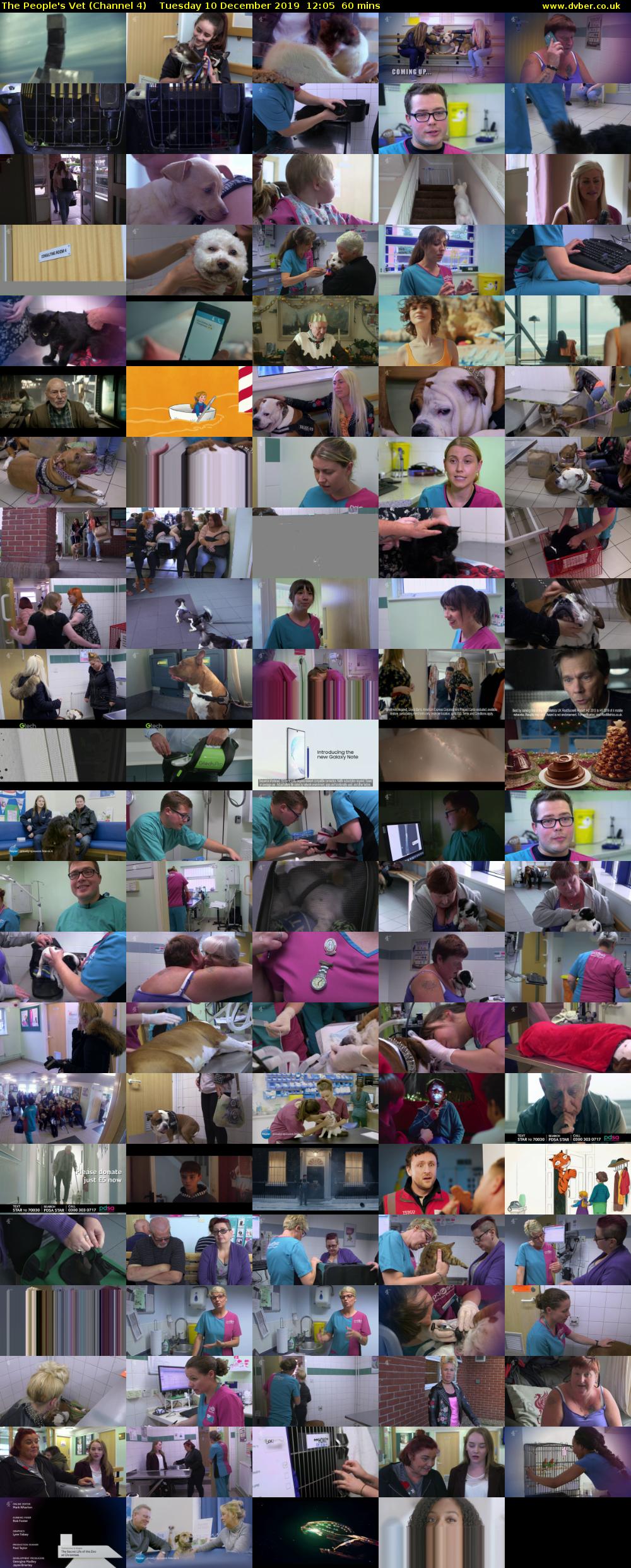 The People's Vet (Channel 4) Tuesday 10 December 2019 12:05 - 13:05