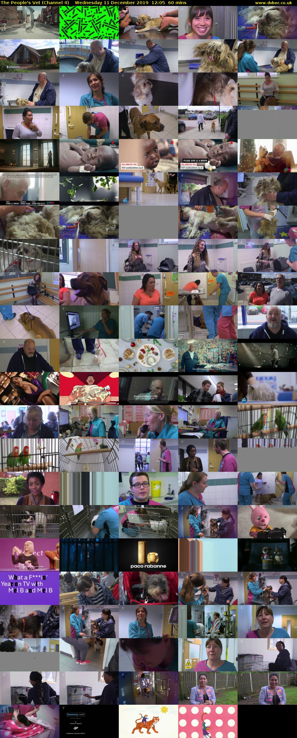 The People's Vet (Channel 4) Wednesday 11 December 2019 12:05 - 13:05