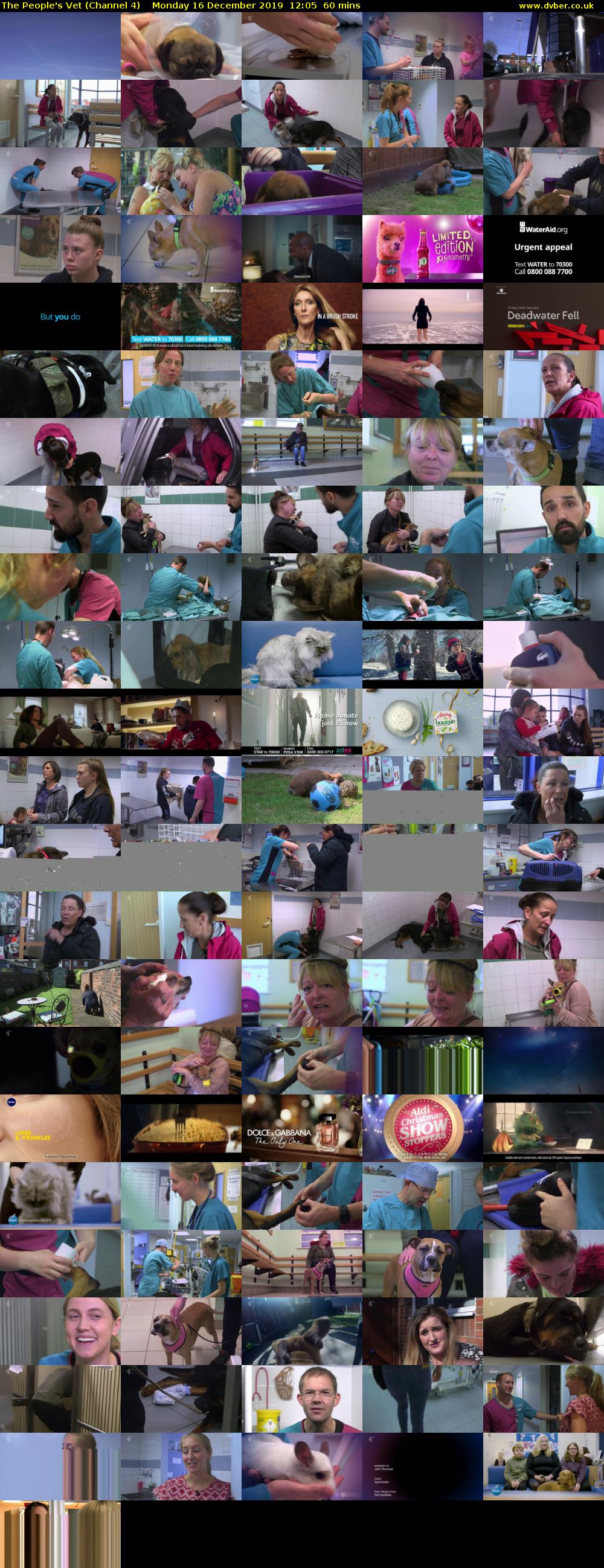 The People's Vet (Channel 4) Monday 16 December 2019 12:05 - 13:05