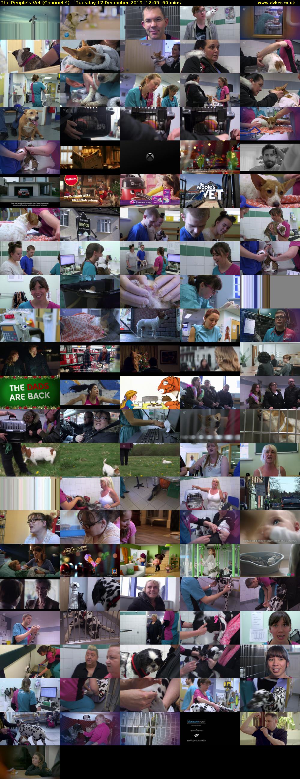 The People's Vet (Channel 4) Tuesday 17 December 2019 12:05 - 13:05