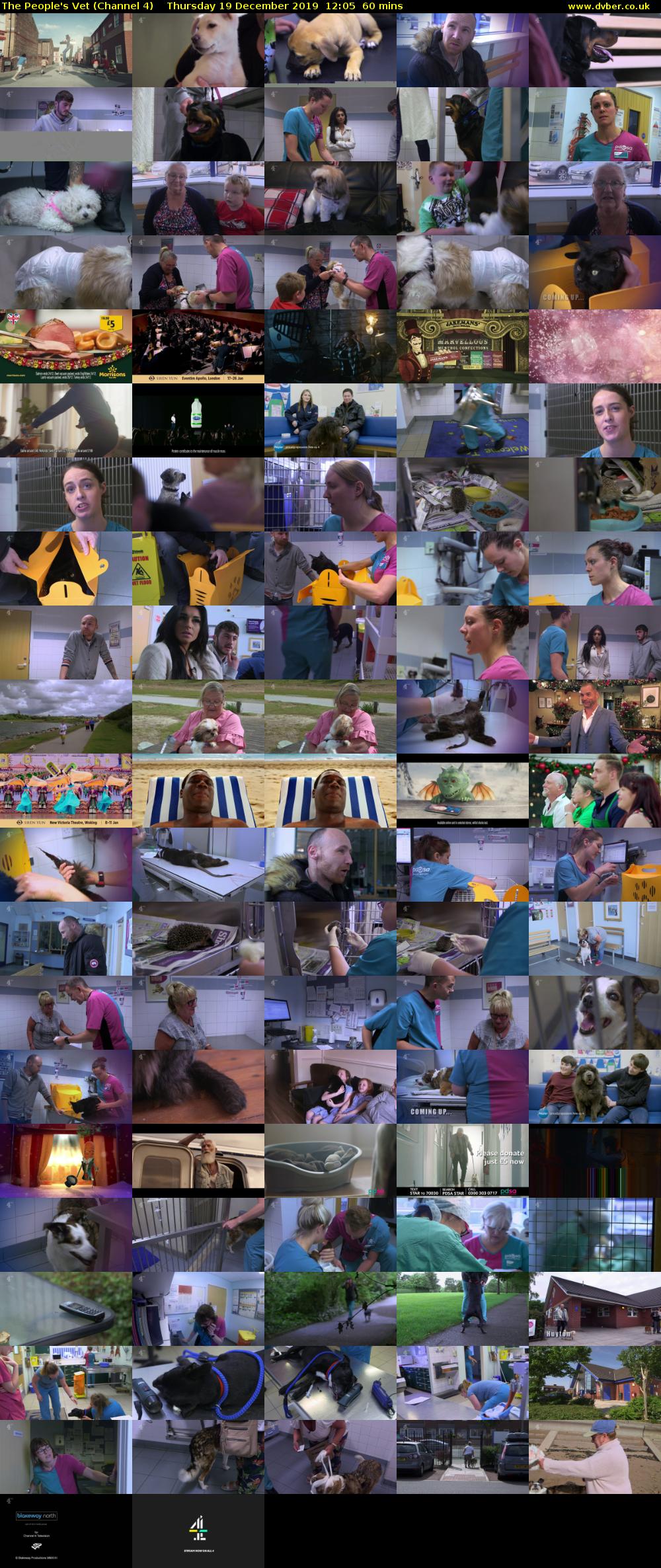 The People's Vet (Channel 4) Thursday 19 December 2019 12:05 - 13:05
