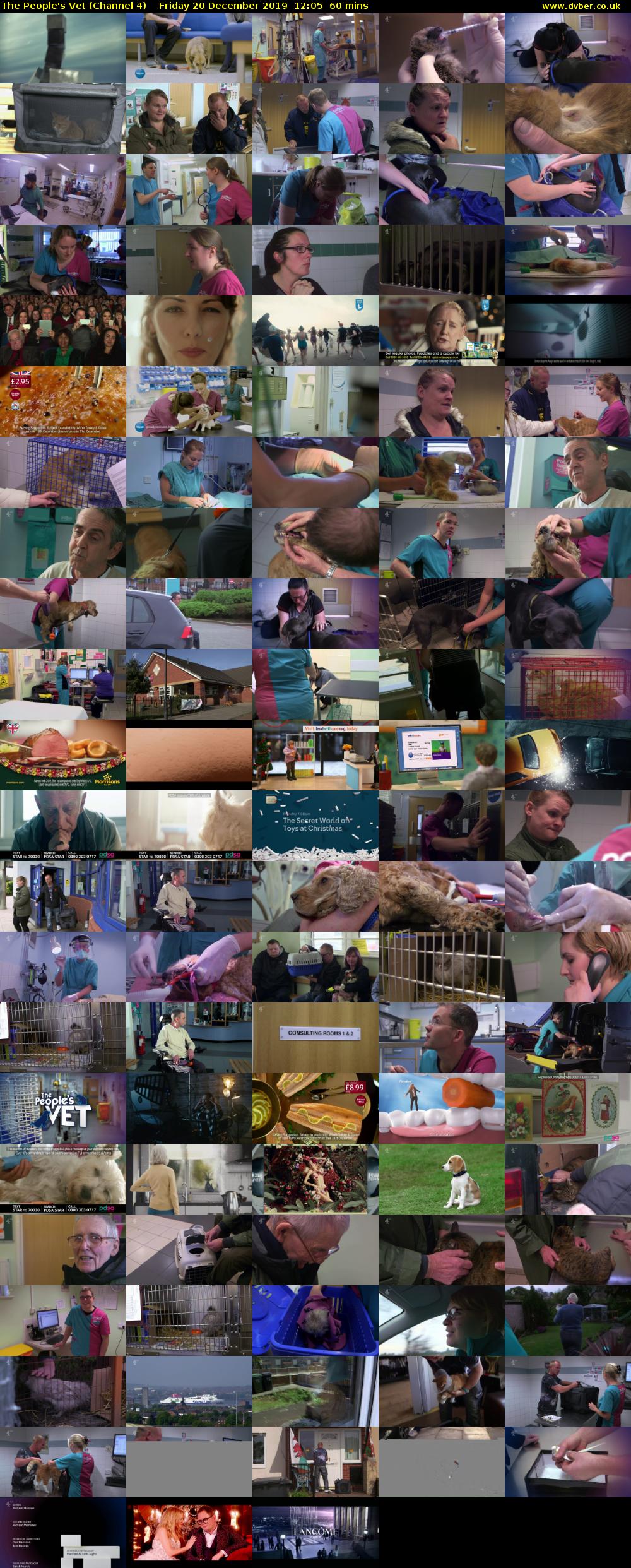 The People's Vet (Channel 4) Friday 20 December 2019 12:05 - 13:05