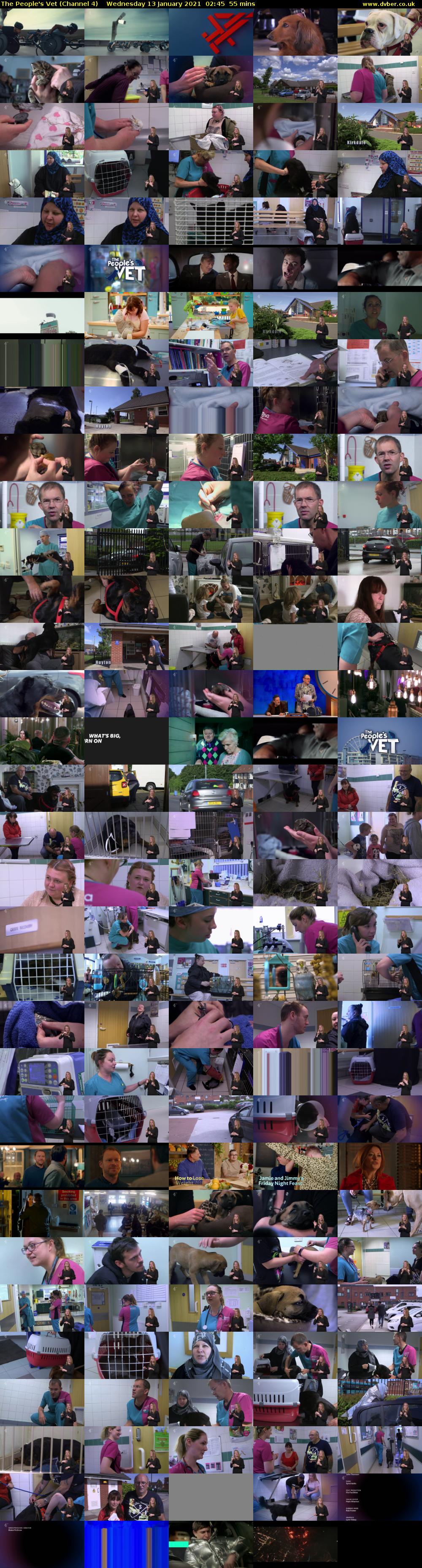 The People's Vet (Channel 4) Wednesday 13 January 2021 02:45 - 03:40