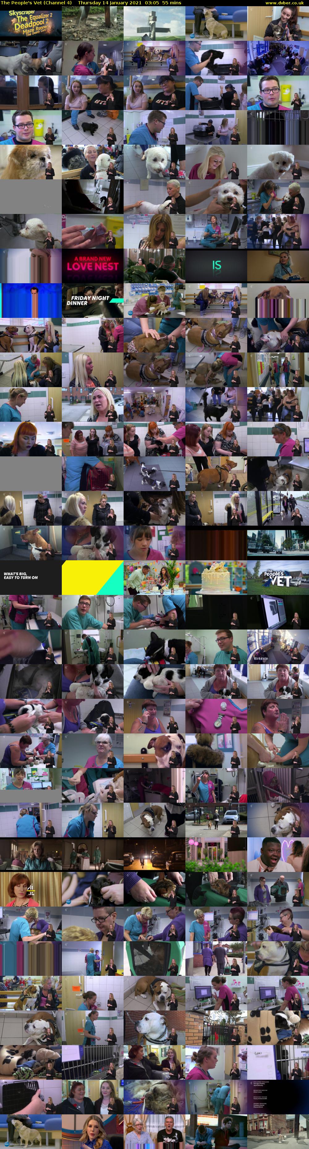 The People's Vet (Channel 4) Thursday 14 January 2021 03:05 - 04:00