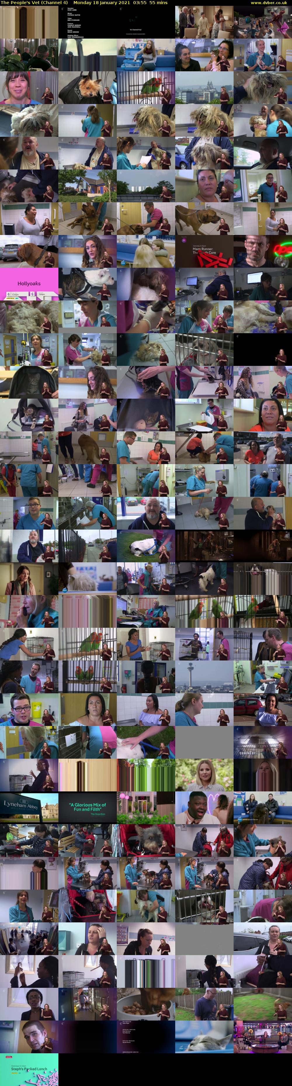 The People's Vet (Channel 4) Monday 18 January 2021 03:55 - 04:50