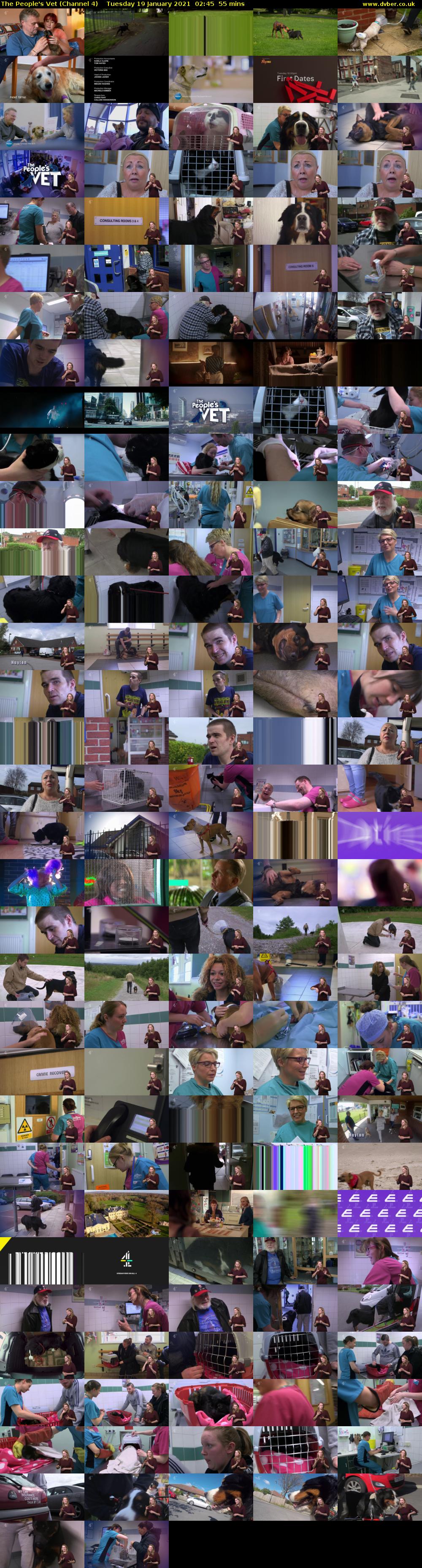 The People's Vet (Channel 4) Tuesday 19 January 2021 02:45 - 03:40